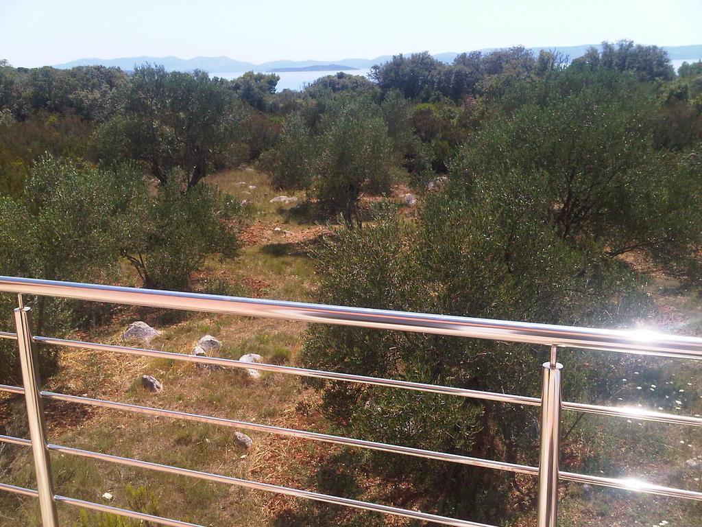 Olive Apartments Ugljan Rom bilde